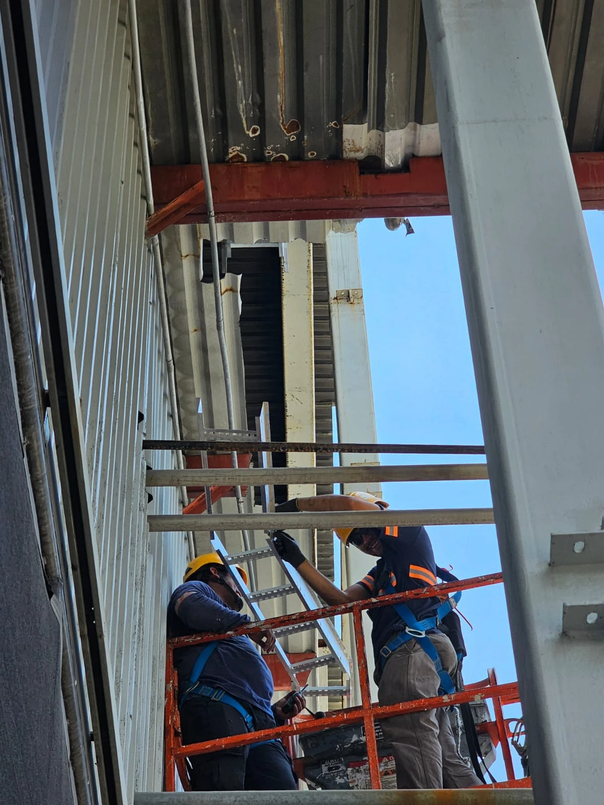 Montaje de conductores eléctricos en bandejas dentro de la planta