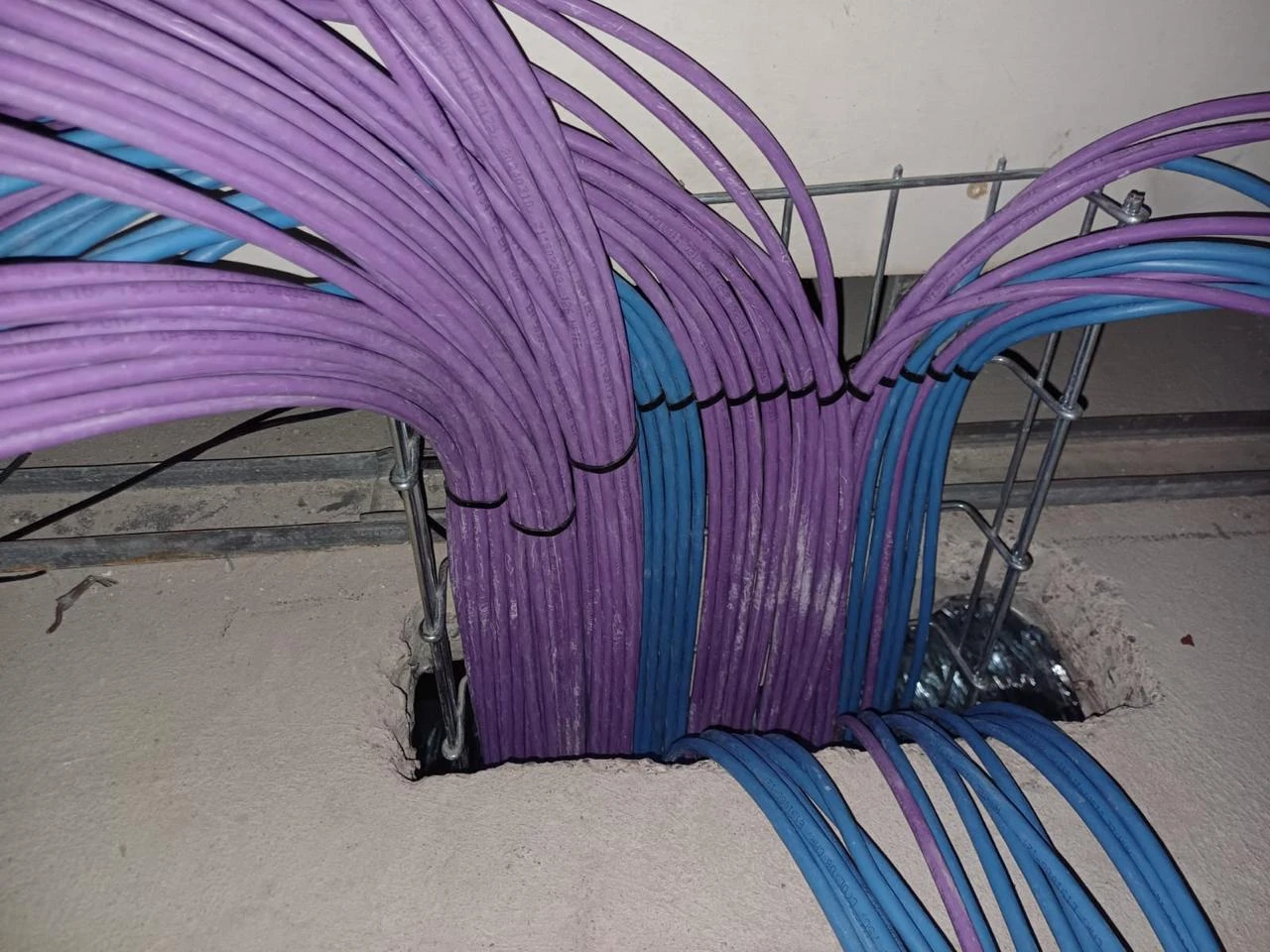 Patch panels instalados para la distribución de los puntos de red