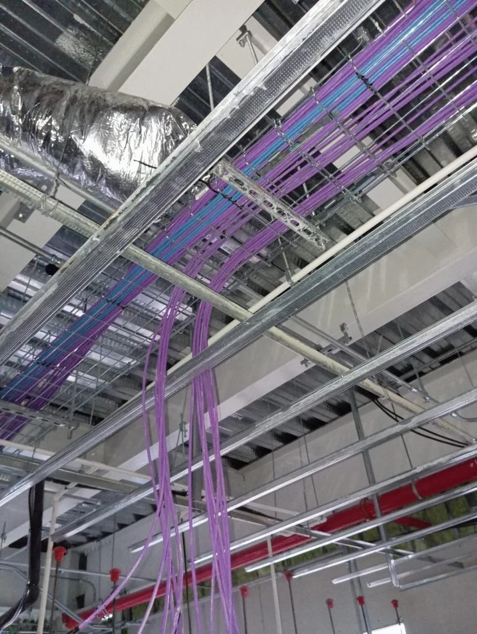 Jacks de red terminados conforme al esquema de cableado definido